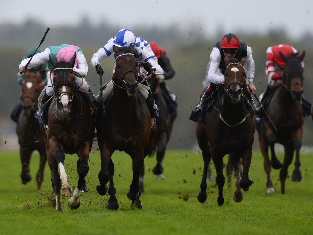 Free Eagle was last seen finishing third in the Champion Stakes at Ascot